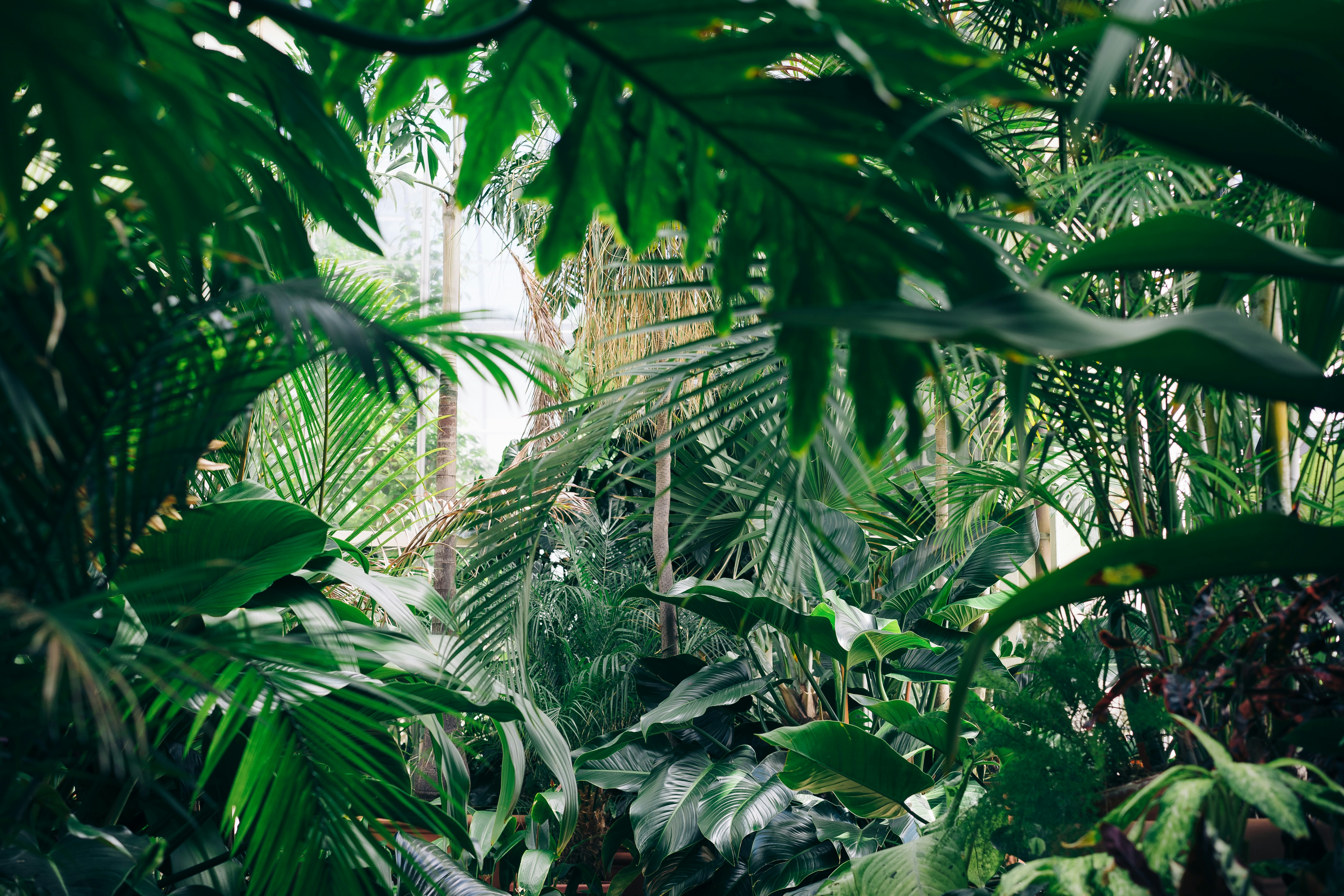 Interior premium con plantas